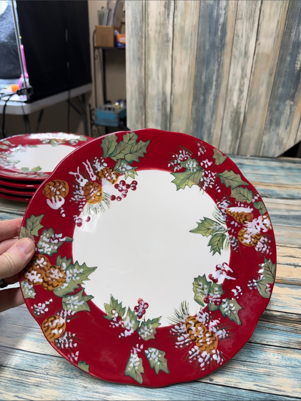 Tracy Porter Jolly Ol Snowy Dinner Plate 11" Christmas Pinecone Red EUC